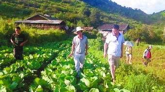 种植技巧大公开