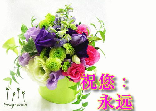 请问有哪些花语可以表达对老师的尊敬