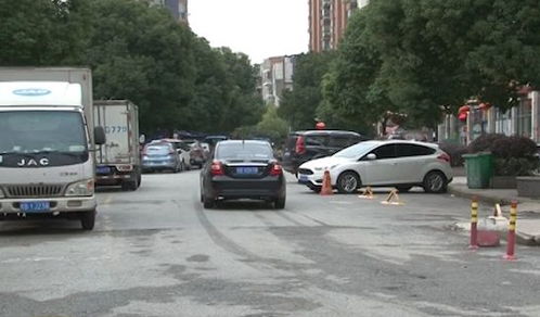 停车位的绿化草种推荐