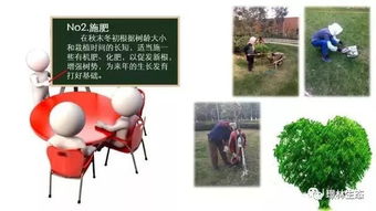 冬季园林养护的重要性