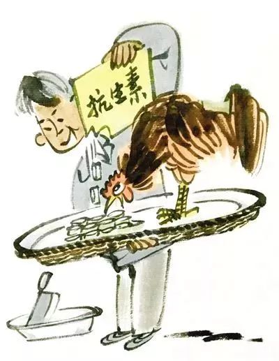 春季鸡群保健：防病增料