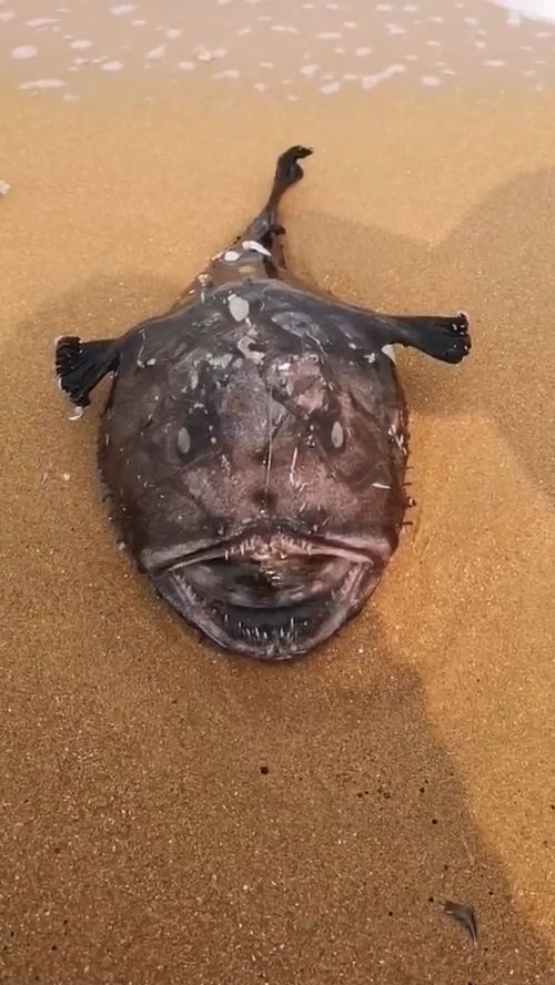 寓意深刻的名字推荐