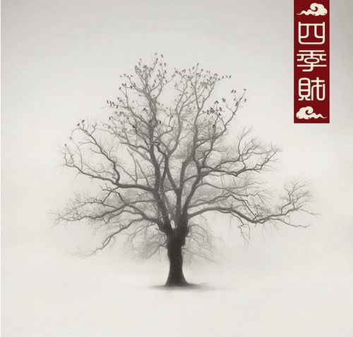 竹叶落尽，是冬藏还是病态
