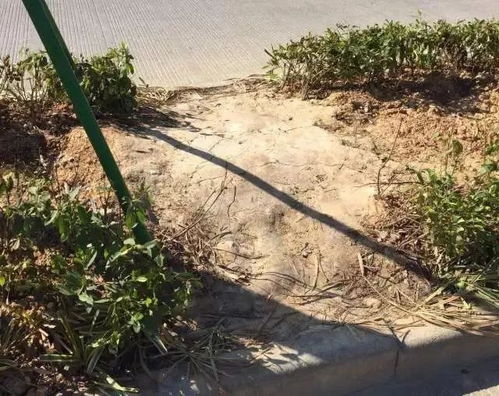 遮风挡雨， 晚上盖被子，白天晒太阳