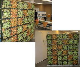 室内绿化，美观又舒适