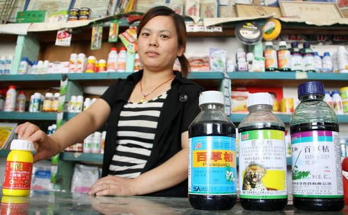 青菜喷了吡虫啉， 要多久才嫩吃