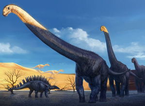 了解奔龙的生活习性