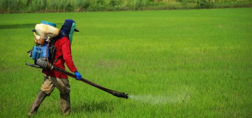 严格按照要求进行