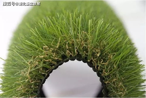 养花也要讲究方法