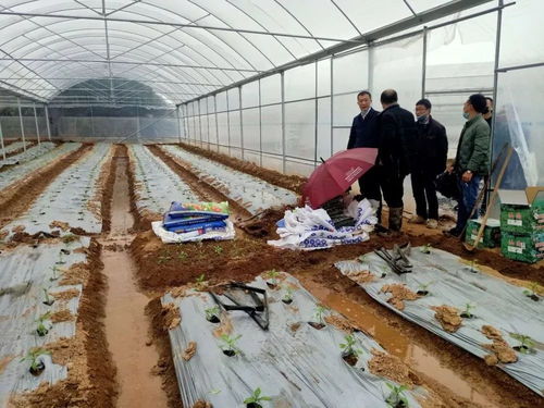 农业养殖消毒防腐，选对方法保健康