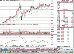 雪松控股2024年蕞新消息：探秘未来的股价走势