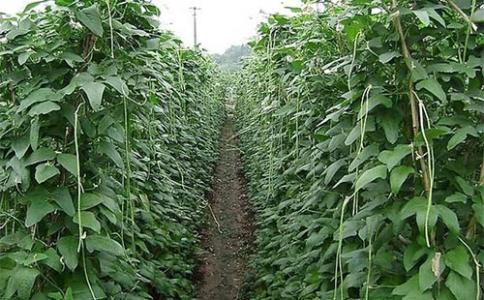 防范为主，治疗为辅