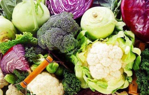 鹅肠菜富含营养，是新型绿色蔬菜佳选