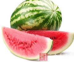 西瓜的繁殖小秘密