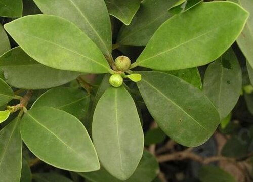 致命操作：这些错误你中了几条？