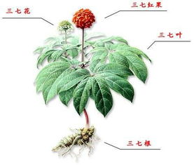 环境模拟， 关键在细节