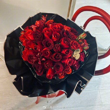 情人节玫瑰花替代方案