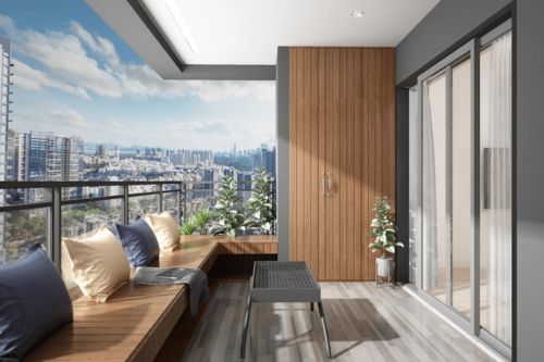 姬小菊，近几年爆火的网红花卉