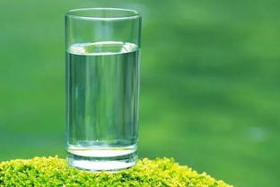 矿泉水浇花：天然矿物质的作用