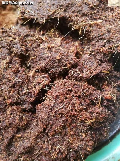 泥土种类大揭秘