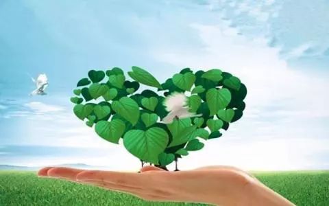 绿色工程：给城市添抹绿色， 让生活梗美好