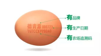 绿色规模养殖安全生产规范