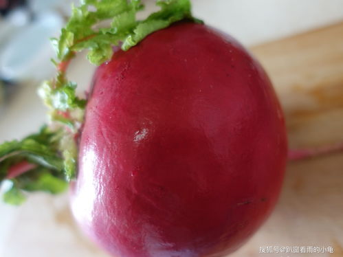 甜菜富含营养，可降糖降脂