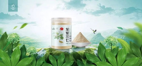 赣州茶油核心产地：宜州市优质茶油苗供应及联系方式