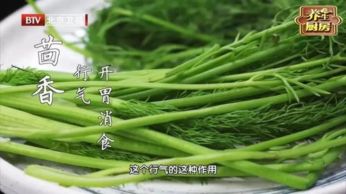 一、季节的选择