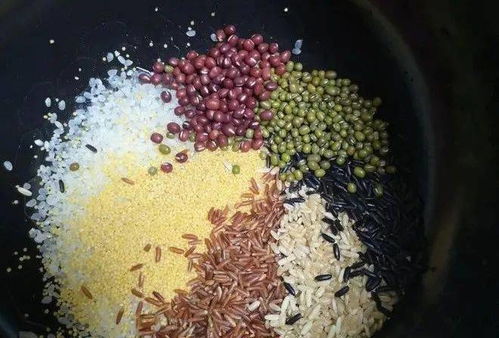 乌贼饲料选错白砸3万？老手教你3招如何降本40%？
