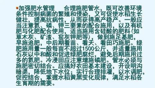 稻飞虱与稻螟：农民心中的“害虫小霸王”