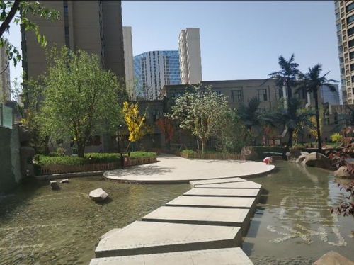 高档小区里的树木，种类繁多