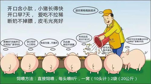 饮水管理是畜牧养殖的核心课程，关乎动物健康与生产效率