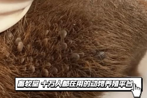 平安第一，谨慎行事