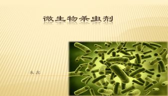 第一节：杀虫剂种类大集合