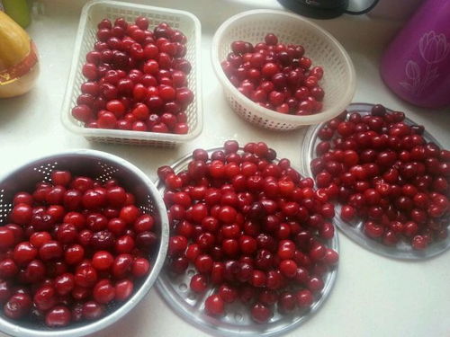 夏季播种的注意事项