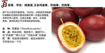 百香果因其独特风味和营养价值，被誉为“黄金果”