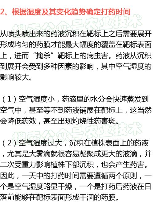 三农视频：打药时间大揭秘