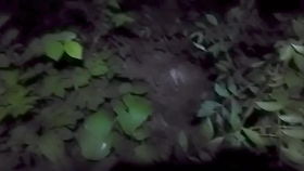 天气不给力，重楼也无奈