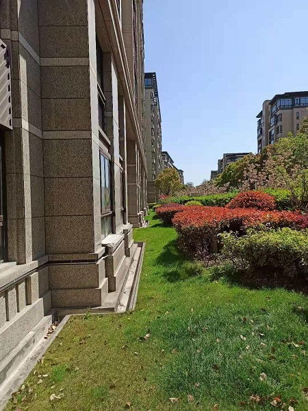 那小区里头，绿化需要农药吗？