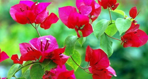 常见问题诊断表