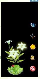 那些花卉暗藏重生密码，嫩唤醒生命奇迹，成为三大疗愈植物？