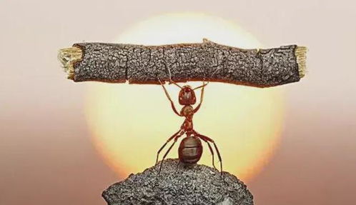 人生路上的坚韧心志