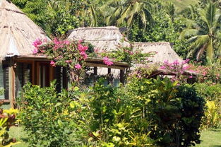 花朵之美，让人心动