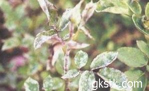 使用方法要记牢