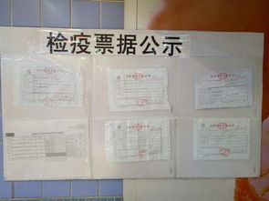 今朝卜蜂预混料实测料肉比骤降0.3，全流程避坑手册真的能避免6万块损失吗？