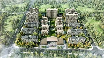 1. 鬼见愁树种在家院子里怎么样？风水有说法吗？