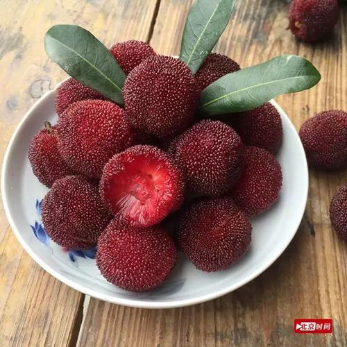 杨梅里的虫子，是打农药的错吗？