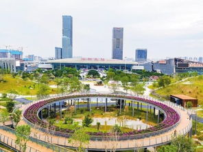 龙华花卉市场：花团锦簇的世界