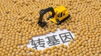 转基因种子与草甘膦的使用